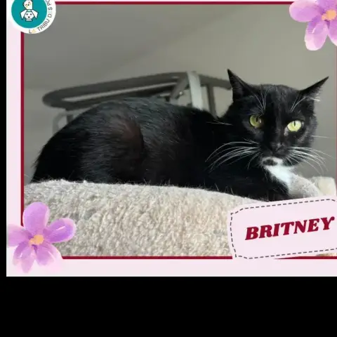 Britney