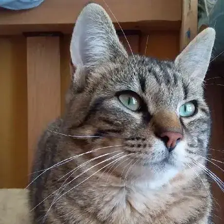 Jerry