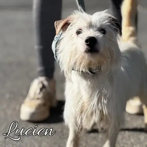 Lucien