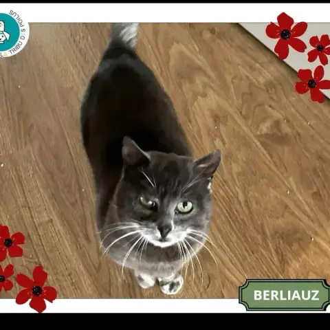 Berliauz