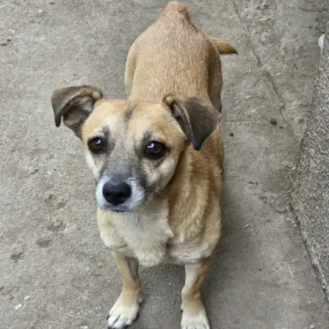 Leyo