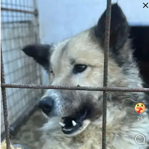 Maya photo 2