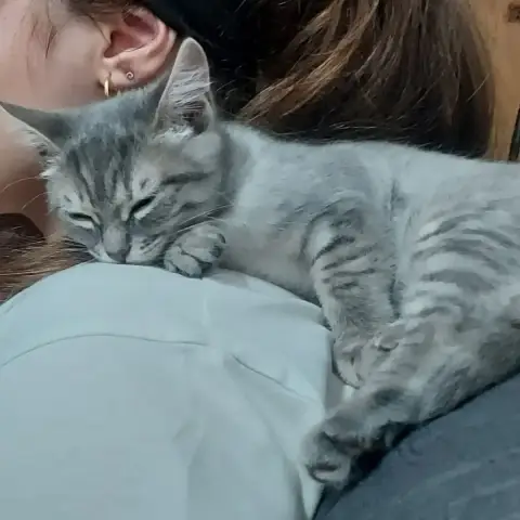 Bella