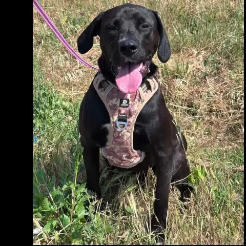 Mia