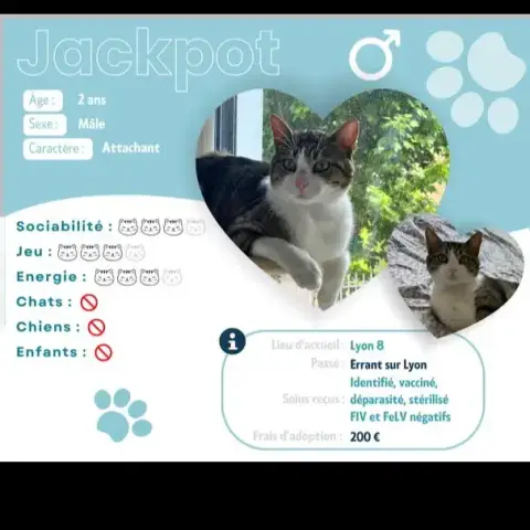 Jackpot