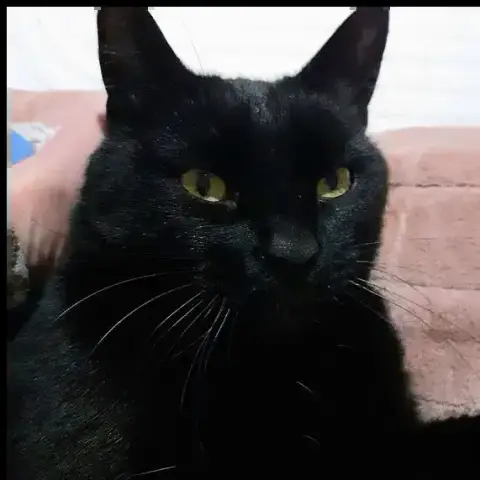Bob photo 2