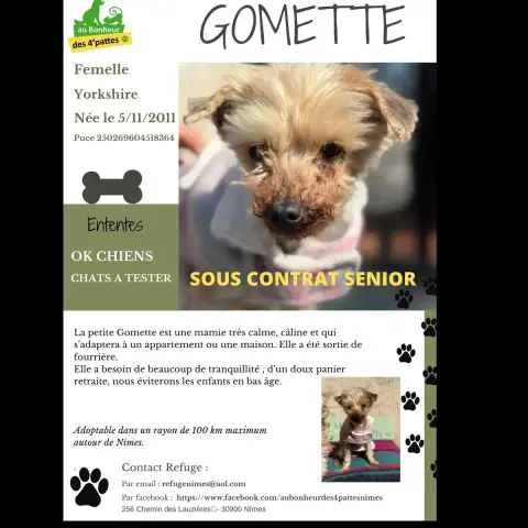 Gomette