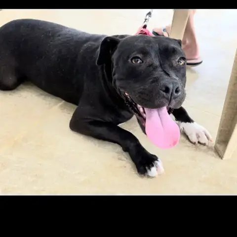 Xena photo 2