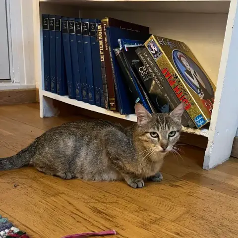 Olivia photo 3
