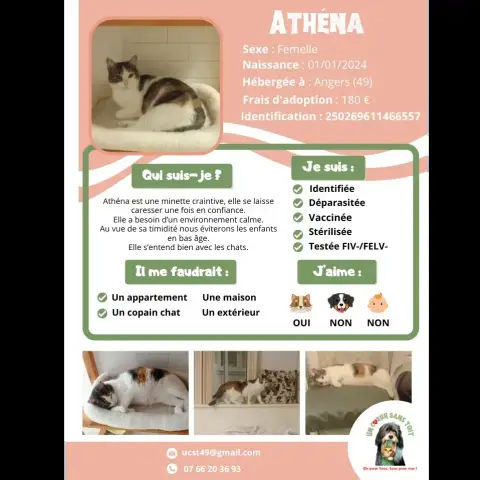 Athena