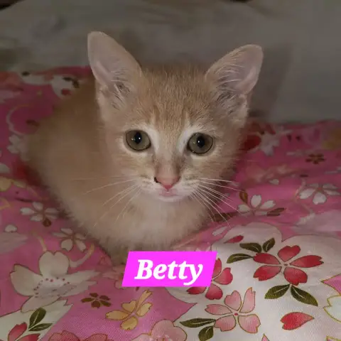 Betty Et Bounty