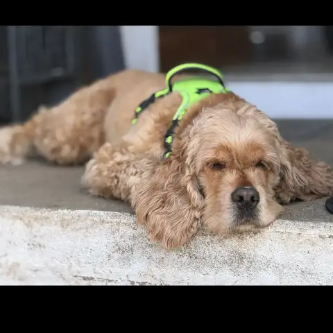 Charly photo 3