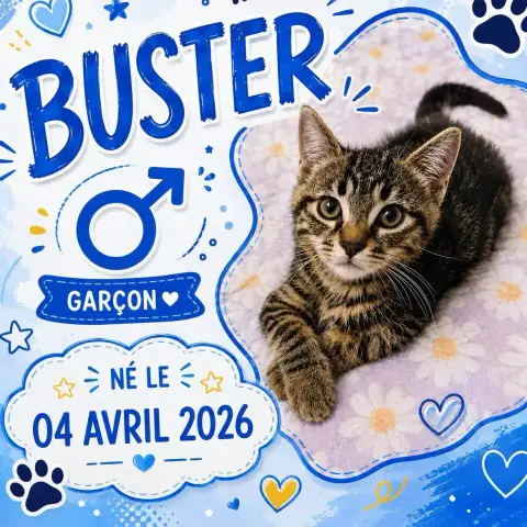 Buster photo 3
