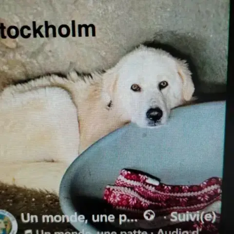 Stockholm photo 2