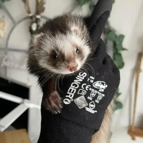 Freya photo 3