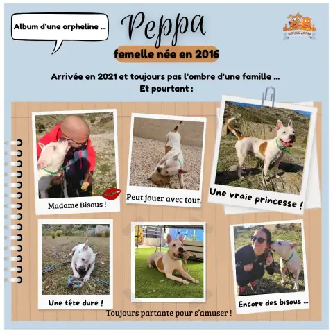Peppa photo 2