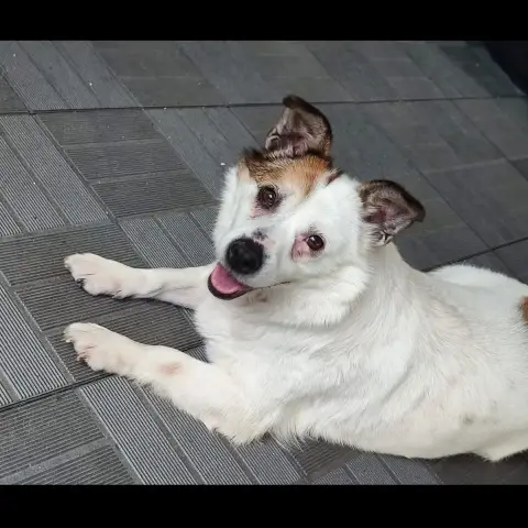 Silvette photo 3