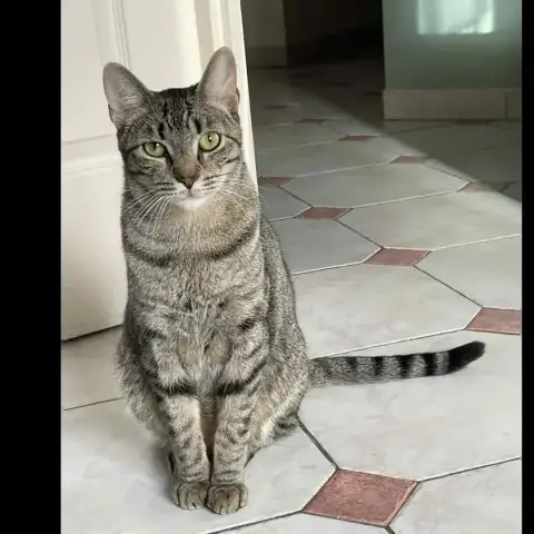 Marco
