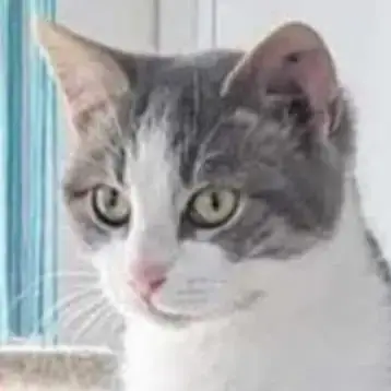 Titane