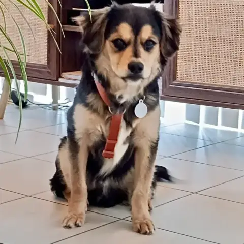 Oliver