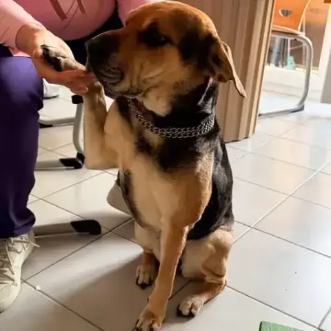 Tsuki