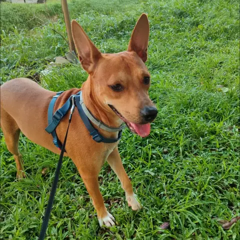 Só photo 3