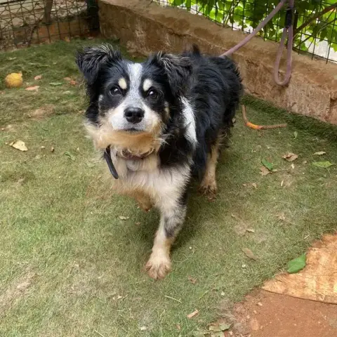 Wiley photo 2