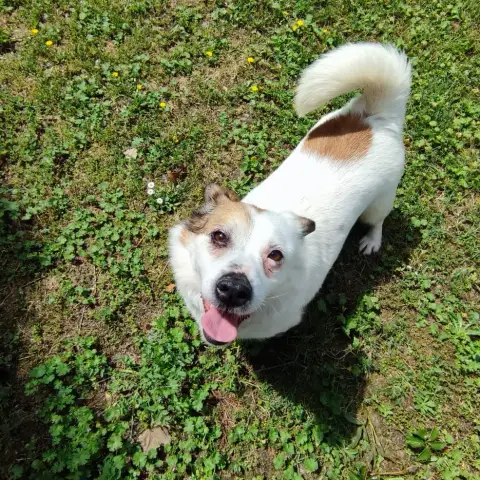 Silvette photo 2