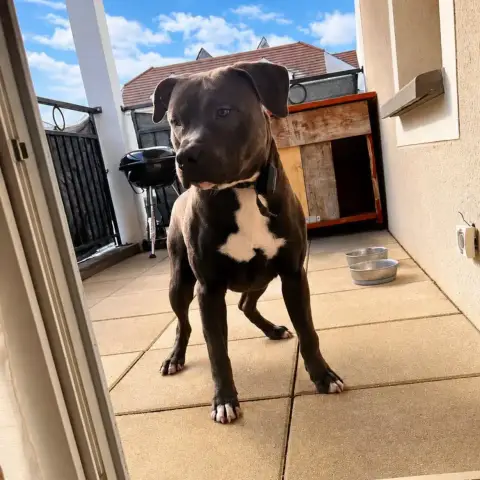 Snoop photo 2