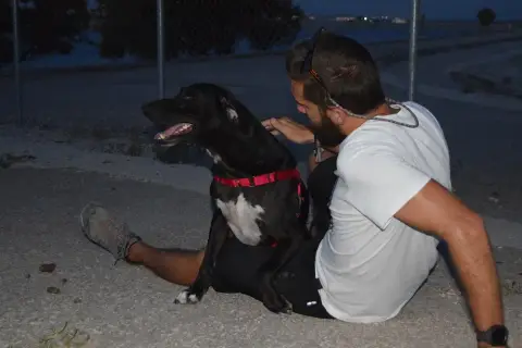 Pepo photo 3
