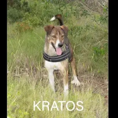 Kratos
