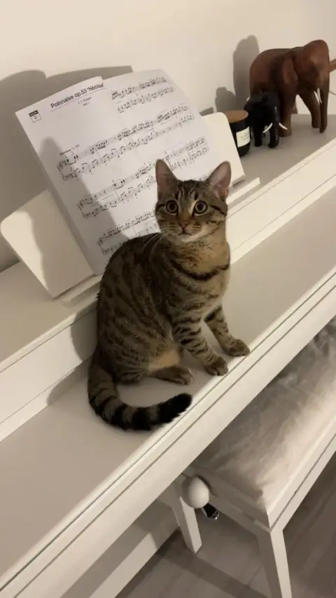 Pablo