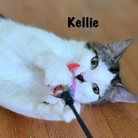 Kellie