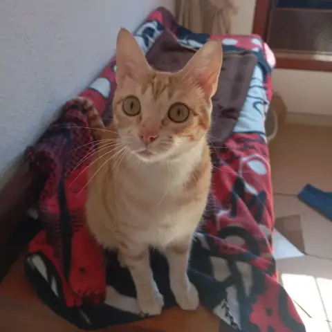 Marta