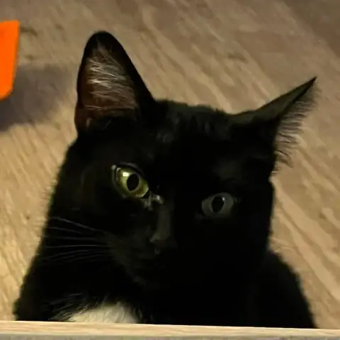 Thriller