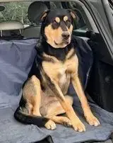 Zeus
