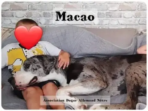 Macao