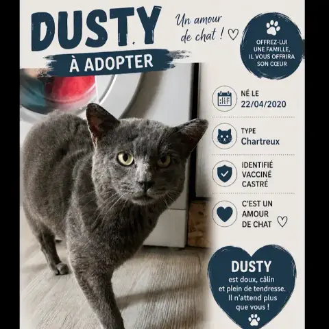Dusty