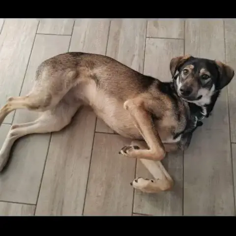 Skye
