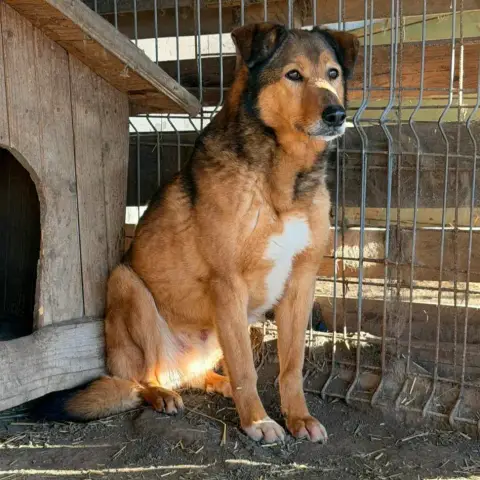 Athos photo 3