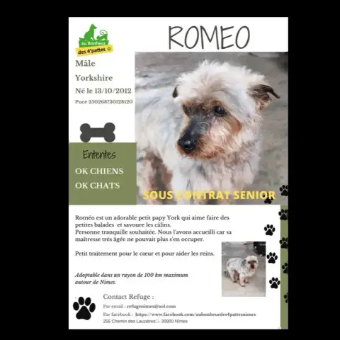 Romeo