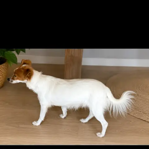 Bella photo 3