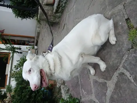 Sally photo 3