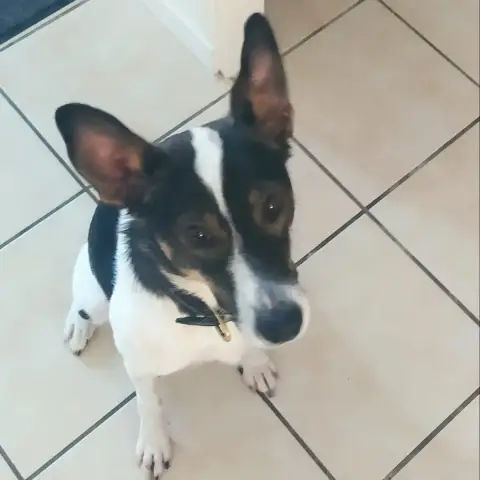 Latochka