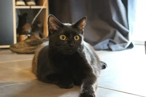 Tristan photo 2