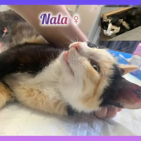 Nala
