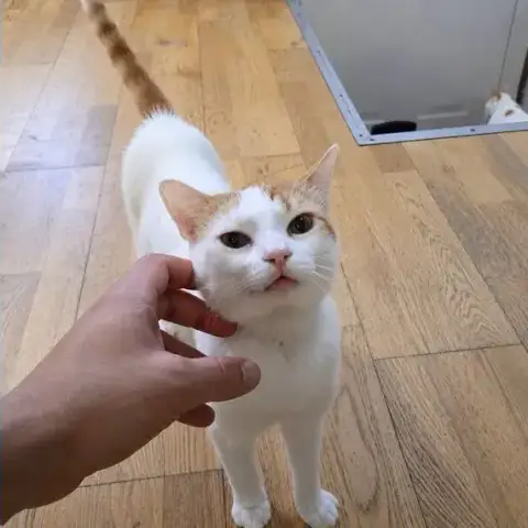 Jeff