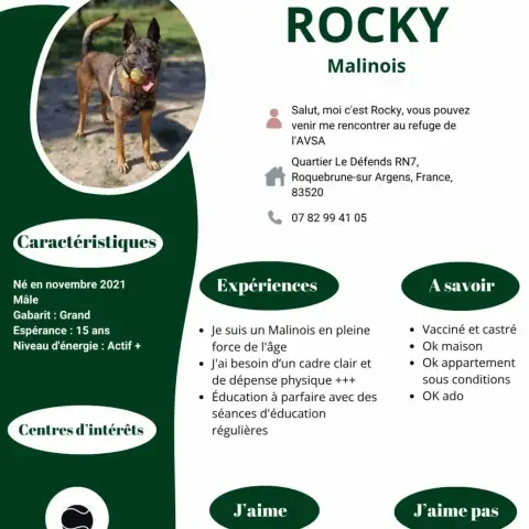 Rocky photo 2