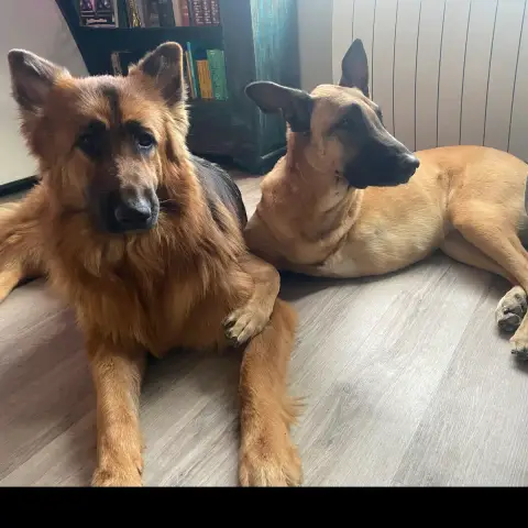 Maly Et Cooper