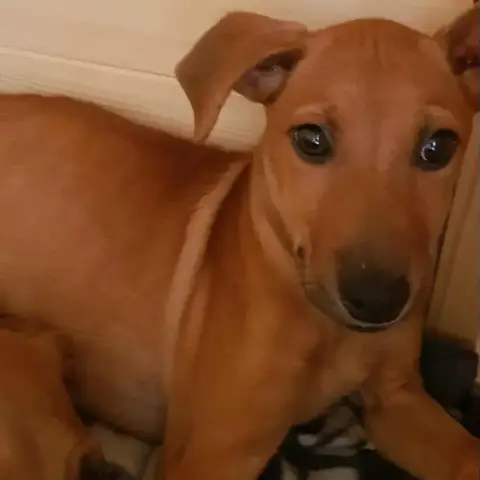 Kenza